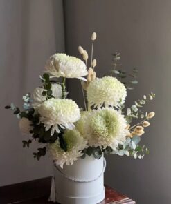 krizanntēmas karbiņa