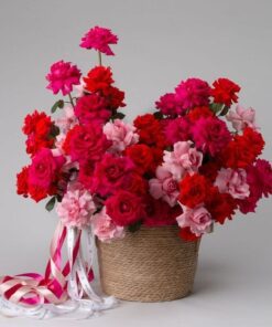 sarkanas un rozā rozes