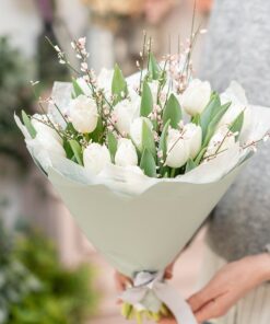 baltas tulpes ar genistru