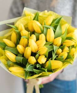 dzeltenas tulpes pavasaris 8.marts