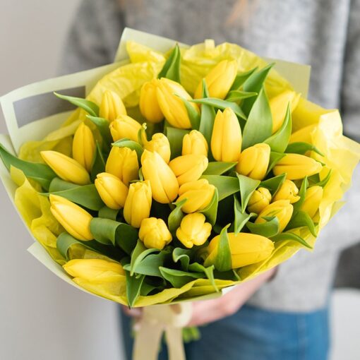 dzeltenas tulpes pavasaris 8.marts