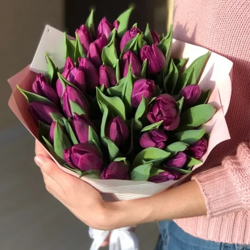 violetas tulpes