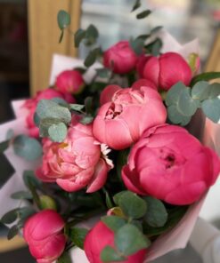 peonijas